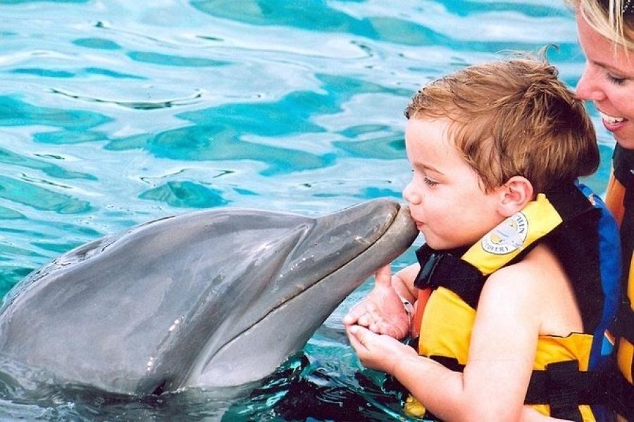Dolphin Encounter – Encuentro con Delfines